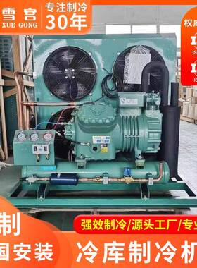 进口配件UNH机冷库机组冷组谷轮机组比泽机组2匹3尔匹制5匹8匹20