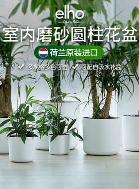 elho花盆北欧白色绿植现代塑料套盆自动自吸水盆景盆塑料盆大