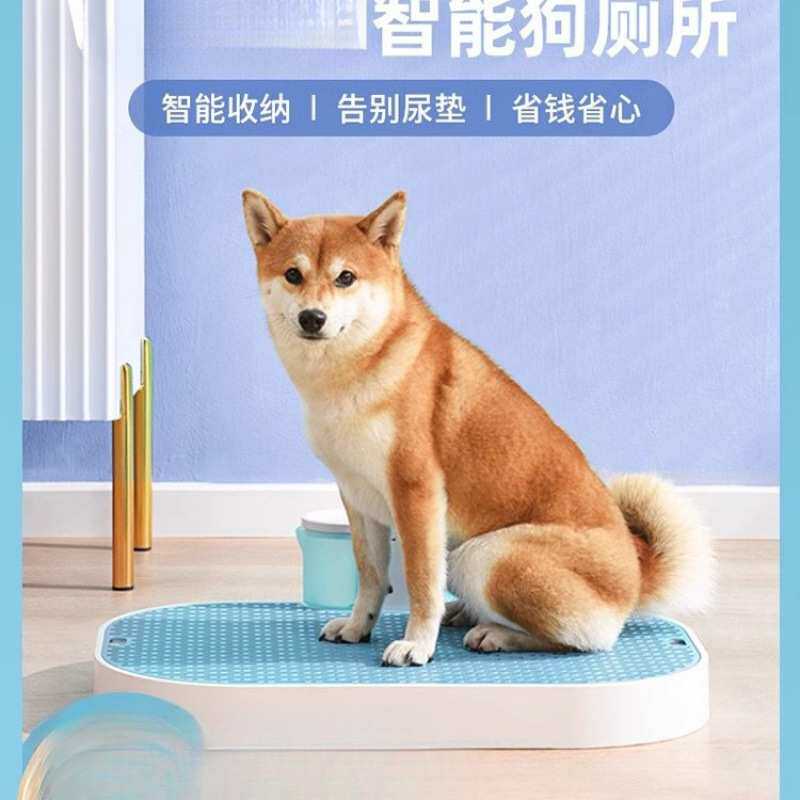 柯基狗厕所全自动便盆异味比熊博美泰迪柴犬尿垫无尿智能免