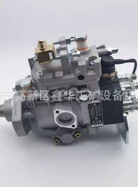 VE泵总成22100-17010 2210017010厂家直销优质现货