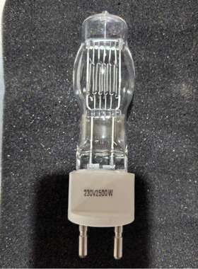 2500w钨丝灯 g22插脚 230v电压卤钨灯