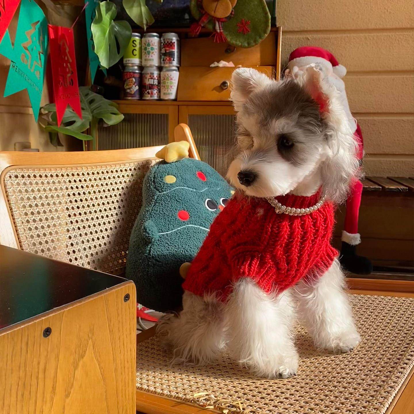 圣诞小狗毛衣新年红色喜庆宠物秋冬服饰宠物狗狗加厚保暖狗狗衣服,宠物/宠物食品及用品,狗宠物服装/雨衣,淘宝优惠券,粉丝福利购,淘宝优惠卷
