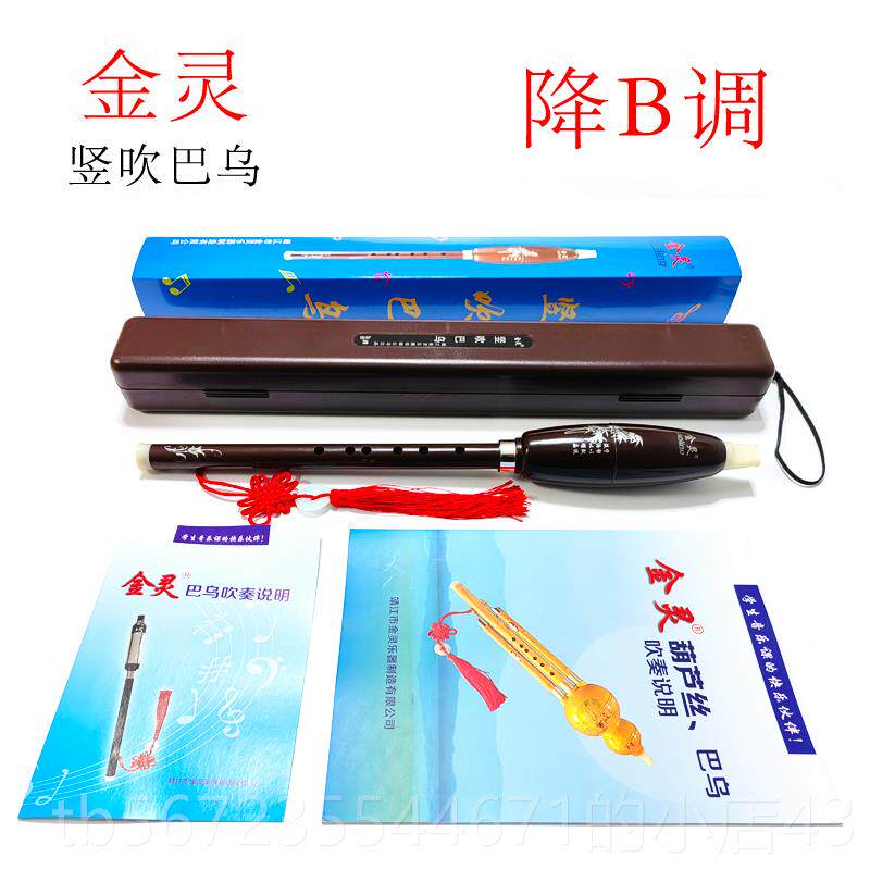 高档树脂巴乌竖吹C调降调人G调F调学生儿童教学成B学者演奏乐器防