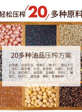 靓太TAPI家用型全不锈钢榨油机LP200电动小家庭商用冷全热榨自动
