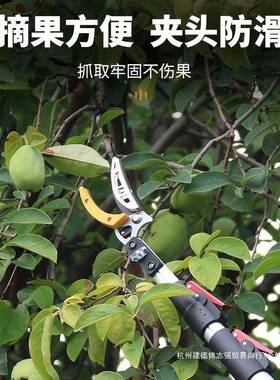 摘荔高水果枝枇杷杨梅摘果器CTH摘果伸缩杆摘器高枝剪空修采枝剪