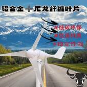 户外用风力永磁100W12V 发机发电小型1电224风风光能互补照明家款