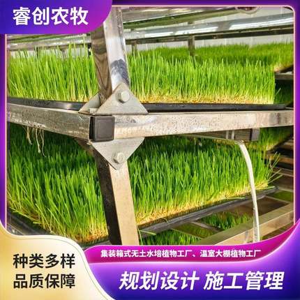 体种备植造农场仓水培大麦草设KEM水培系统房立屋车库改式无土