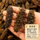 9年深海淡干刺参250g淡干海参国标12倍高泡发海参礼盒