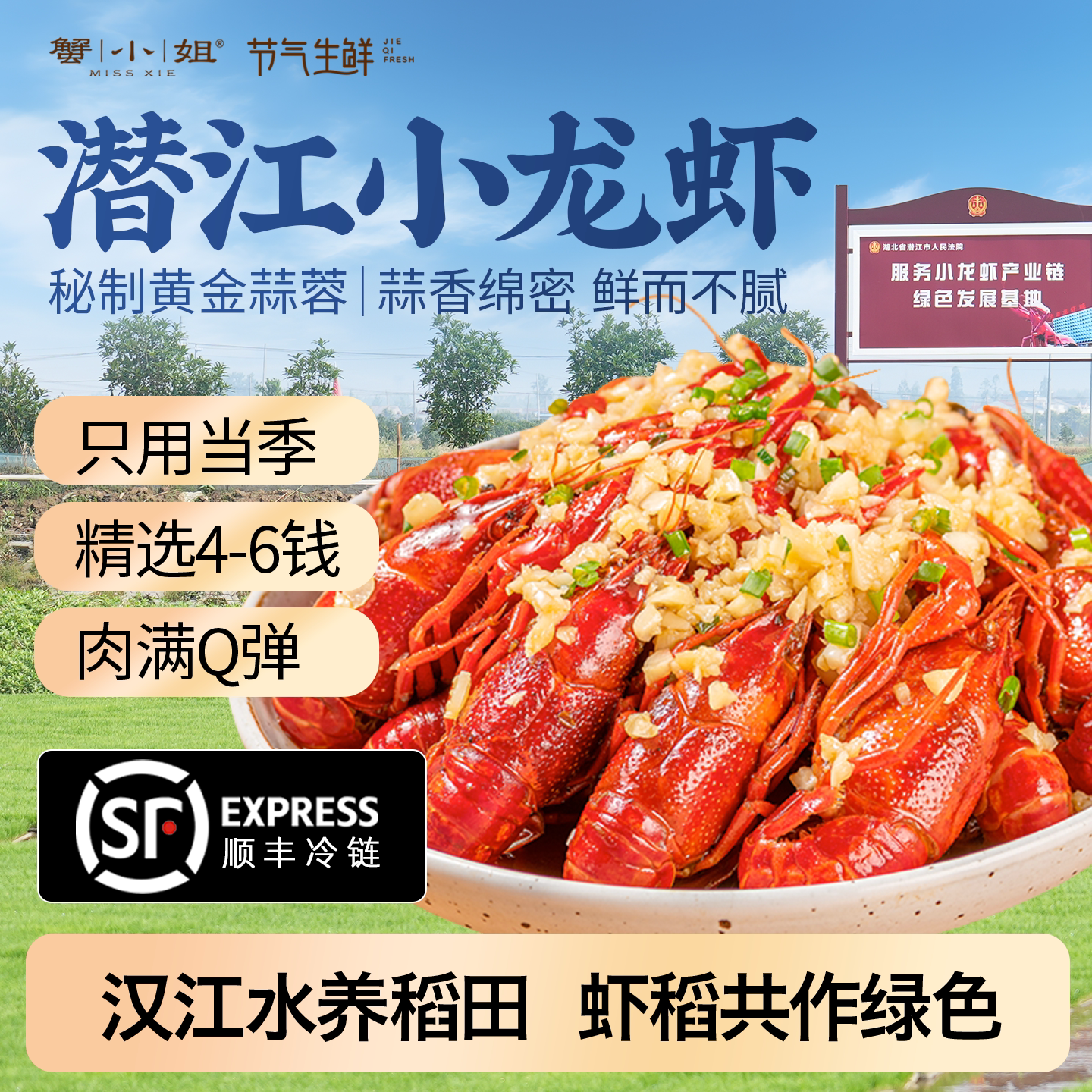 蟹小姐潜江蒜蓉小龙虾4-6钱大号麻辣小龙虾加热即食顺丰冷链包邮