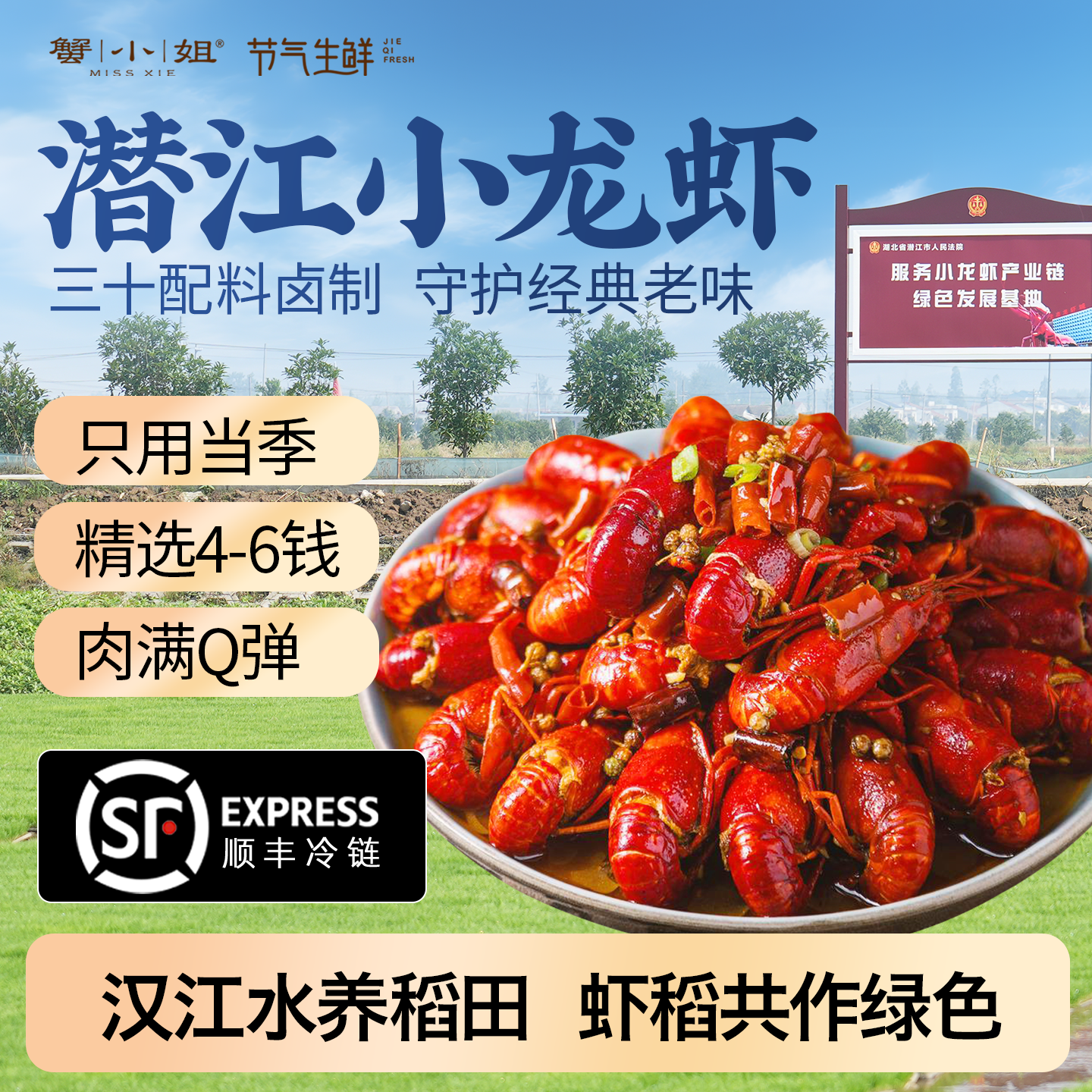 蟹小姐潜江麻辣小龙虾礼盒装4-6钱大号稻田虾加热即食顺丰冷链