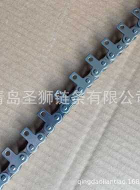 SS34不锈U808钢06B008A08B10A21A16A20AB单侧直立板输送链带耳输