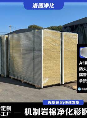 岩棉顶净化板保温彩隔热玻洁净板装修吊VYK隔墙镁无尘车间钢板子