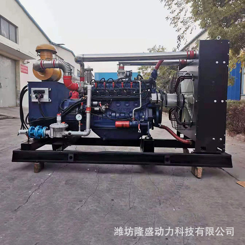 石家庄100KW沼气并网发电机