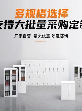 制钢文件柜公室档案资37381料凭证柜收纳铁皮办柜矮柜带锁储物更