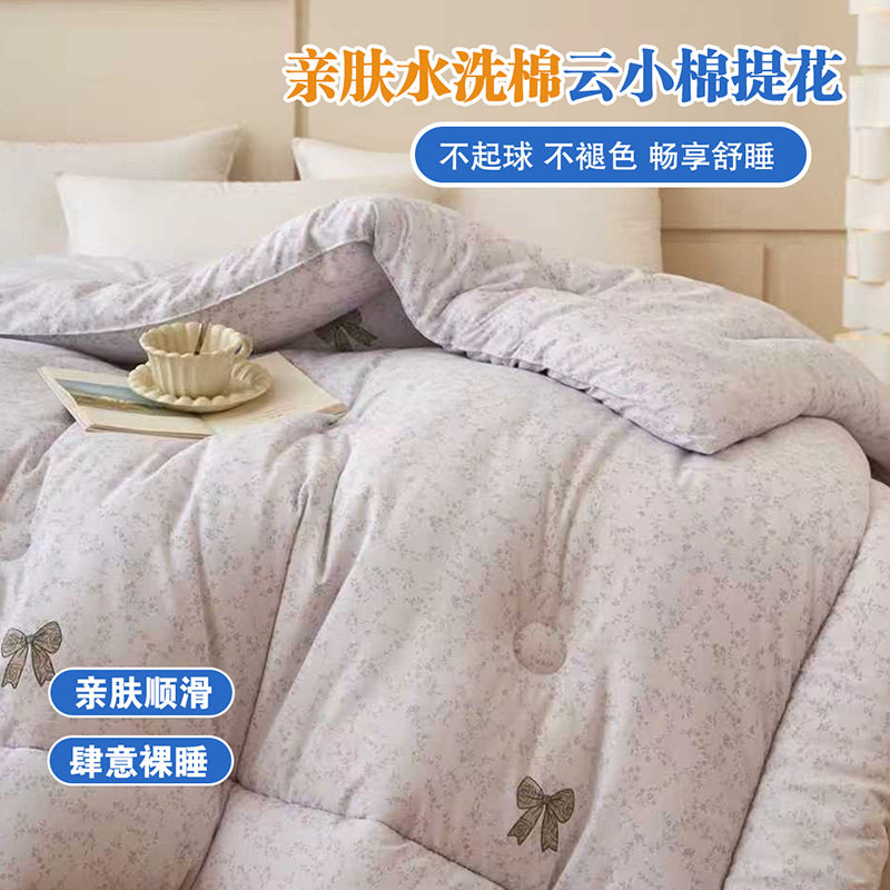 羽丝绒被子冬季厚款棉被加厚保暖太空被丝绵被芯磨毛提花单双人被