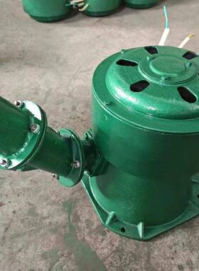 20002W斜击式水力发NWD电机头型交流家用永磁无刷高水水轮机2小0