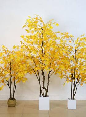 大树型仿真摆红枫黄色枫树橱窗造庭院新中式仿生盆VGJ栽装饰景件