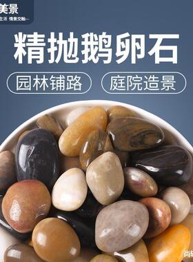5斤鹅卵石0铺路铺石地庭院花园造WGP景天然大小石雨花石原鹅头软X