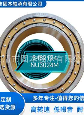 F-57063   F-576887    F-57491液压泵轴承