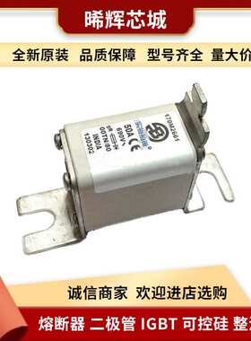 现货170M2661 170M4112 库存充足 巴斯曼低压快速熔断器型号齐全