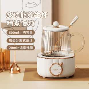 总裁小姐智能养生壶家用办公室烧水壶保温一体迷你多功能电热杯
