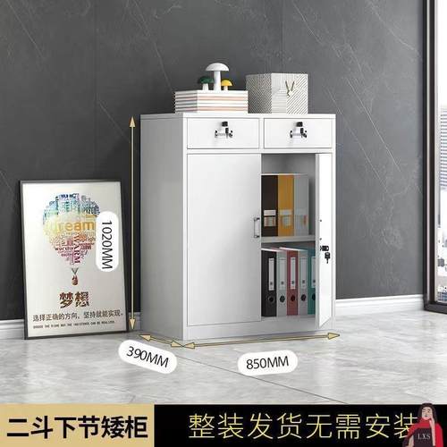 储物柜子带锁客厅落地下资料文件柜小办公室桌卧室铁皮柜二斗矮柜
