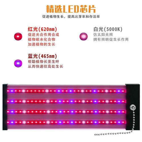 菜LED植物家灯用全光谱多肉补室光灯蔬大棚温育苗MGW植物照明灯厂