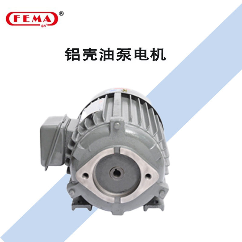 FEMA菲玛铝壳油泵电机132L2-4Motor11KW24A1450转空心轴