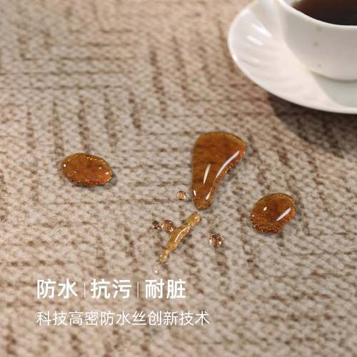 地毯客复古免法式5打理202新款卧室床边房间沙发地垫水晶绒大面厅