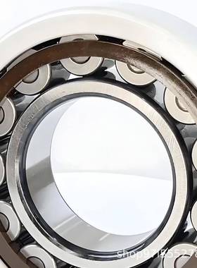 定位轴列承,双满圆柱滚子轴承SL014924装12016716545