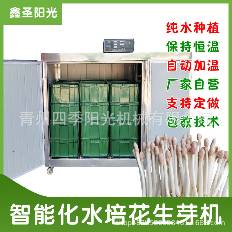 商用水培花生芽机 花生发芽机 花生芽种植机器 全自动花生芽机