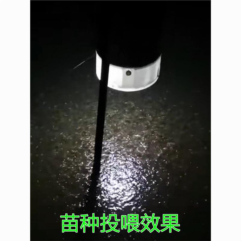花白鲢粉料投料机鱼苗粉料投料机泥鳅花鲢大头粉料机鲈鱼粉料机