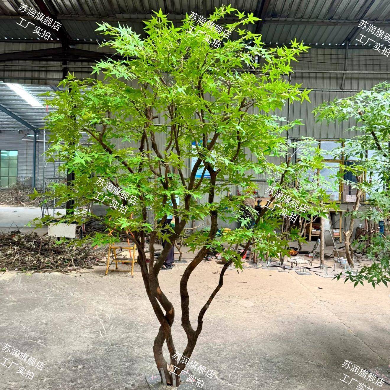 仿真绿枫树鸡爪槭绿植马醉木假树景观造景室内酒店橱窗植物装饰