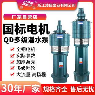 QD多级抽水泵家用220v清水泵高扬程小老鼠水泵高压农用灌溉潜水泵