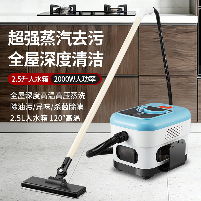 跨境热销 2500W高温高压蒸汽清洁机家用厨房蒸汽清洗机欧规 厂家