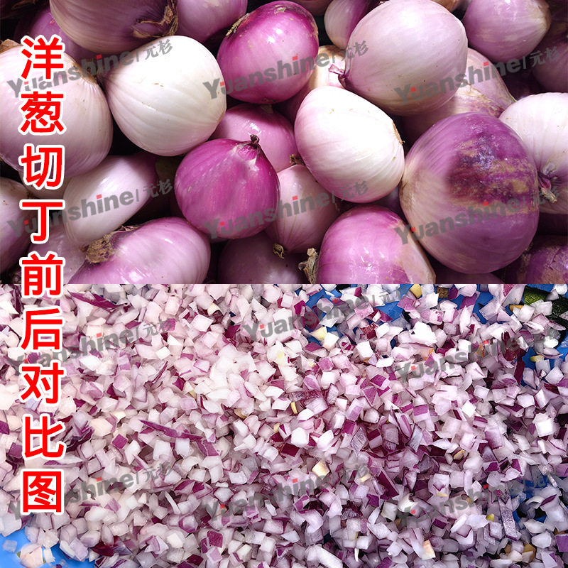 源头厂家大型高速切丁机 胡萝卜西红柿切丁机 土豆洋葱切丁机
