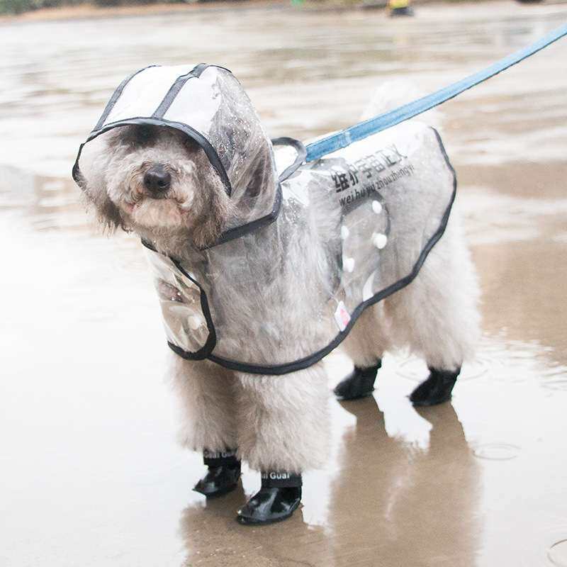 新款春季小狗狗反光条宠物雨衣防水透明雨披泰迪幼犬小型犬狗衣服