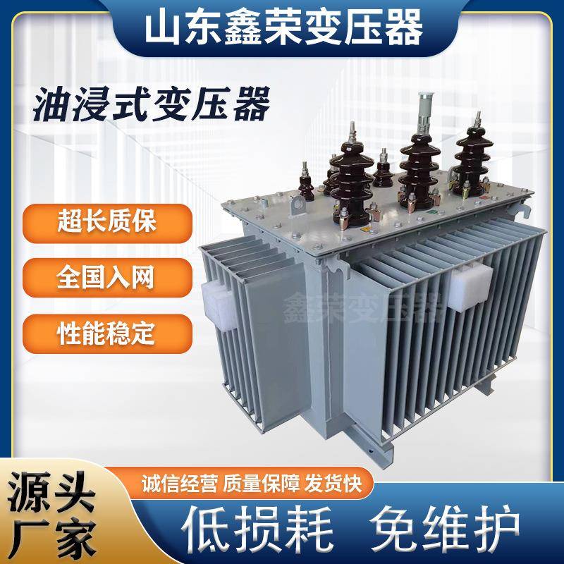 10千伏油浸式变压器/200/250/