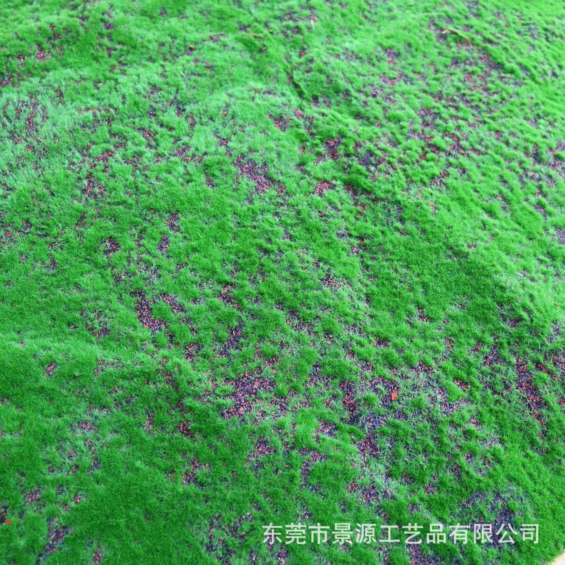 景源工艺仿真植物盆栽家居服装店橱窗软装设计造景配件仿真草皮