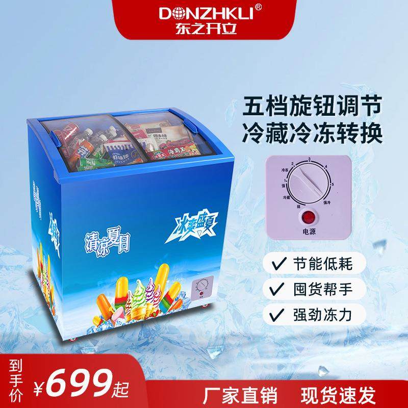 东之开立冰柜商用小型压缩机制冷车载冰箱冷冻冷藏车家两用雪糕柜