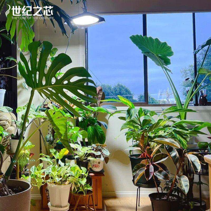 全光谱吊灯庭院灯家用防水花园阳台植物补光灯多肉花卉照明灯