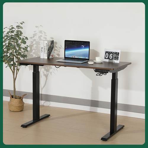 电动升降桌办公桌桌子双电机升降桌架电脑桌腿人体工学设计实木