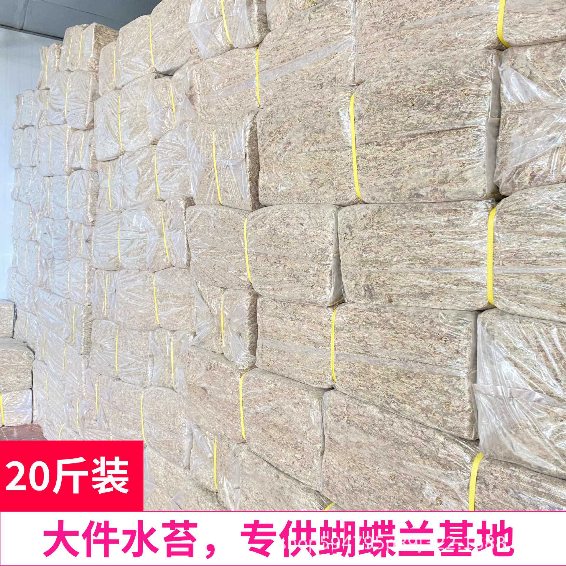 水苔 干20斤装贵州蝴蝶兰专用绿植苔藓爬宠垫材铺面保湿有机