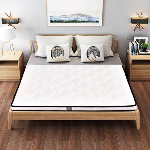 无胶3E床椰梦FPP维折叠垫1.2m单人水然环天保椰棕宿舍床垫