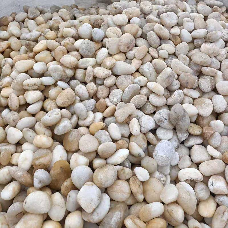 天然白色鹅卵石-公分园林庭院铺路碎石盆栽鱼缸装饰用白色石子