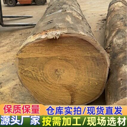 非洲菠萝格原木 菠萝格木板材 厂家加工印尼菠萝格防腐木 黑塔立