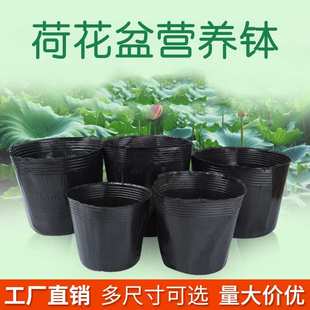 荷花盆营养钵睡莲盆水生植物盆加厚无孔塑料碗莲盆育苗杯营养杯