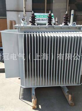 时S11-200K冠压油浸式变器S11160KVA三相-双绕组配无励磁调压式电