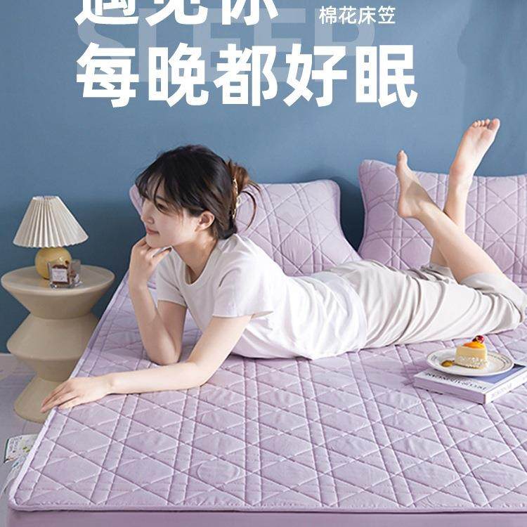20加2新款床夹棉CNB厚笠单件纯棉床罩床套床垫遮盖5物