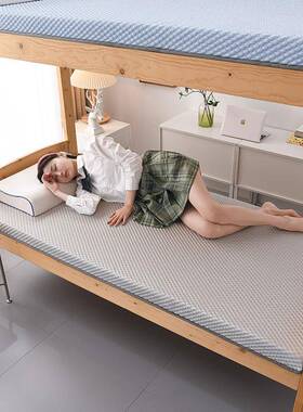 记A类夏季床垫宿舍用租房凉感豆豆忆棉LNW软家垫褥子榻床榻米褥床